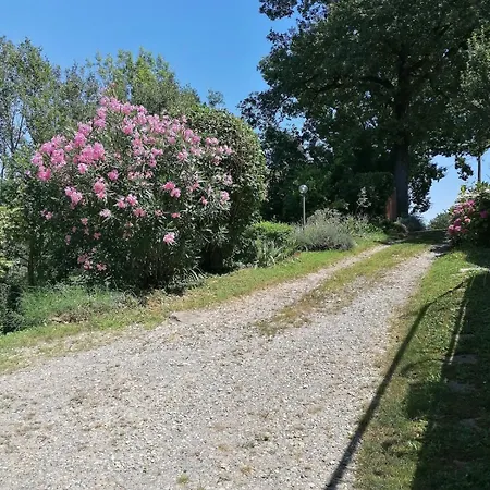 Antica Quercia *