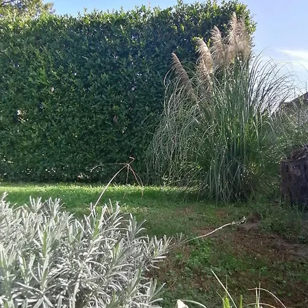 Antica Quercia * Avigliana