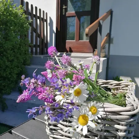 Antica Quercia Avigliana